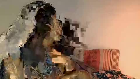 cute_hippo8 online show from February 4, 1:09 am