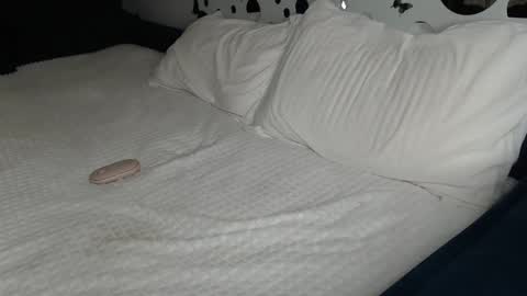 Anna online show from January 27, 1:52 pm