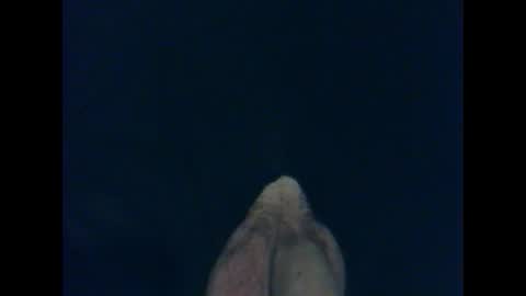 Snapshot of cutieguy86 chatting on October 26, 1:39 am CutieBoy online show from October 26, 1:39 am