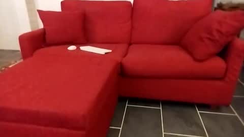 D Fet online show from November 23, 5:44 pm