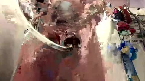 Daddy online show from January 5, 4:16 pm