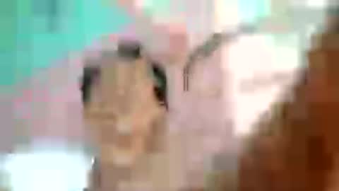 johnloyd online show from July 4, 1:53 am