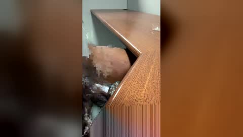 DaddyLeeBBC online show from March 18, 5:57 am