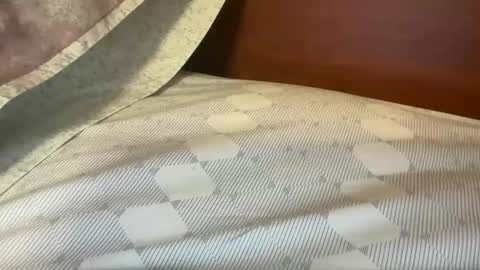 Snapshot of daddys___home chatting on October 28, 7:48 pm daddys___home online show from October 28, 7:48 pm