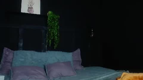 DAHYAN online show from November 20, 2:25 pm