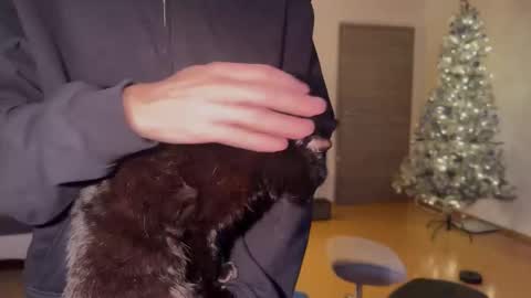 Daimon  online show from November 15, 12:45 am