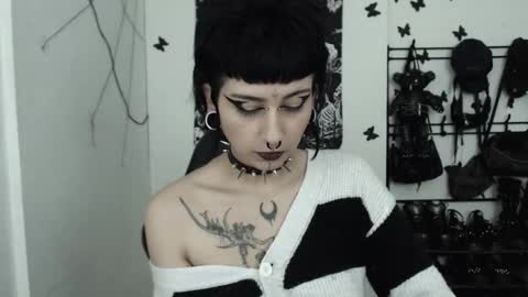 dakota online show from November 20, 5:06 am