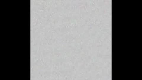 Dakota online show from December 18, 11:27 am