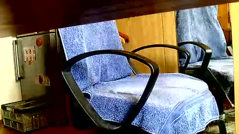 Dammerl online show from April 15, 7:44 am