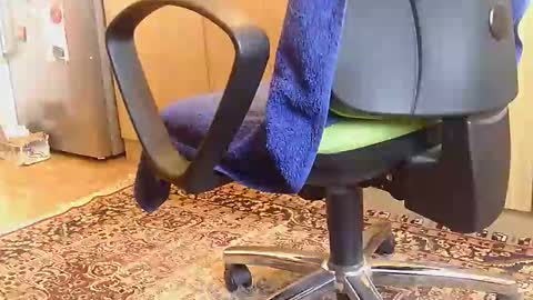 Dammerl online show from February 18, 6:59 am