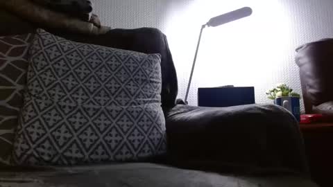 Damocles online show from February 17, 10:16 pm