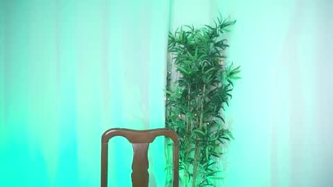 damon_frost online show from March 10, 11:18 pm