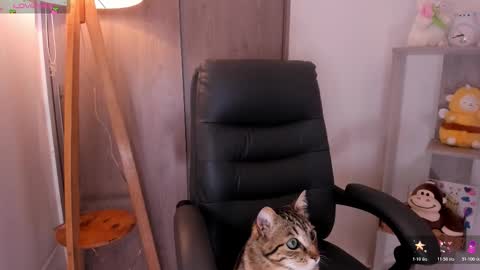 Danielle Rose online show from November 2, 8:20 pm