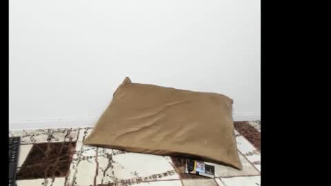 DariaVelvet online show from April 19, 6:10 pm