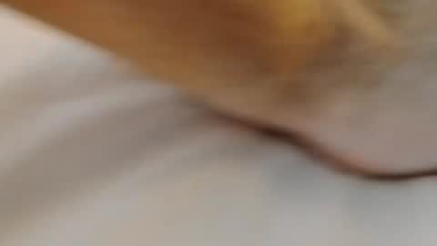 david1982yesyes online show from March 2, 2:02 pm