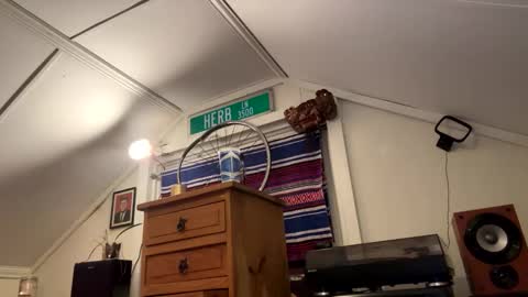 dayblue online show from April 16, 6:02 am