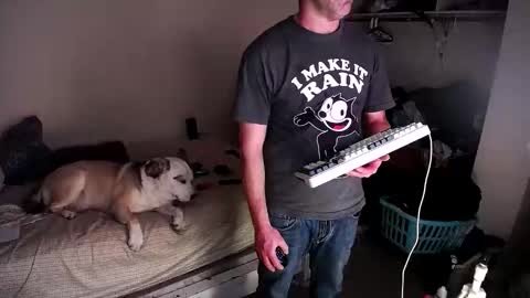 dbfroge online show from March 13, 10:07 am