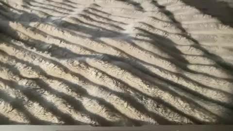 dcwells1992 online show from April 24, 12:12 am