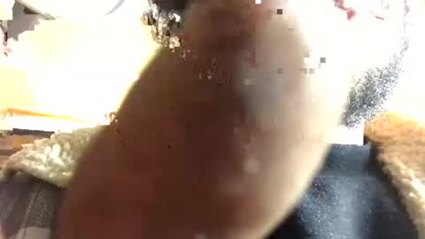 dealwithit805747 online show from March 3, 9:11 am