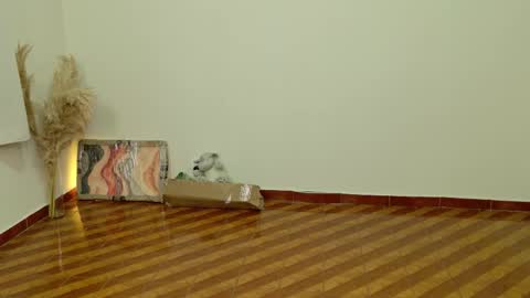 Dean online show from February 24, 9:29 pm