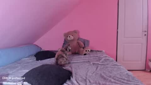 Deessert online show from February 16, 2:53 am