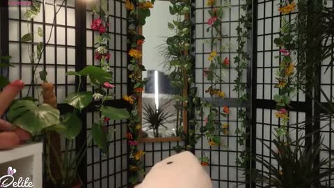 DeLite  Next stream on Wednesday or Thurdsay  online show from March 5, 9:18 am