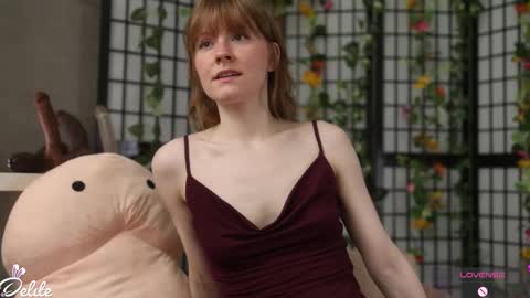 DeLite  Next stream on Wednesday or Thurdsay  online show from February 26, 10:07 am