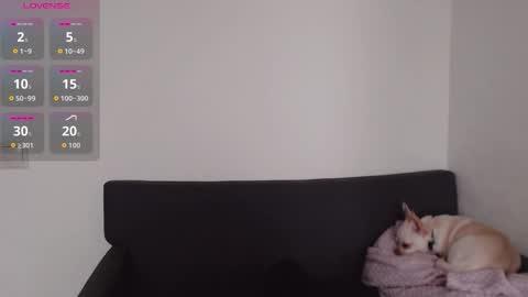 Demi. not your babybabebb and other shit online show from September 21, 9:57 am