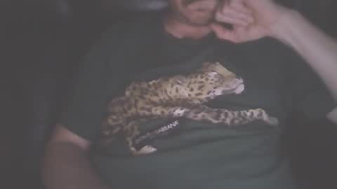 playtime online show from December 26, 12:57 am