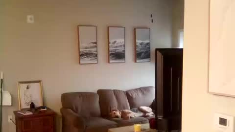 Tall and Handsome online show from October 10, 4:57 pm