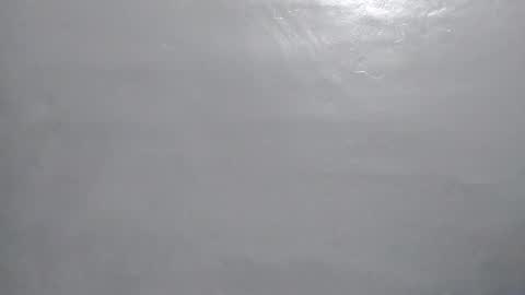 desturbingdetale699 online show from January 10, 5:26 am