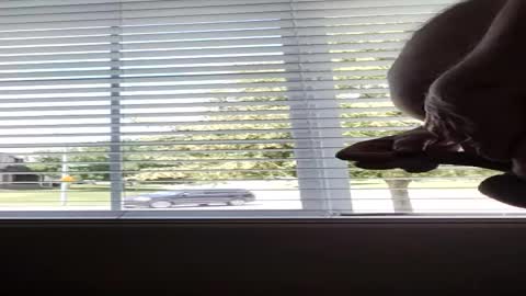 Dickforfun300 online show from June 16, 5:39 pm
