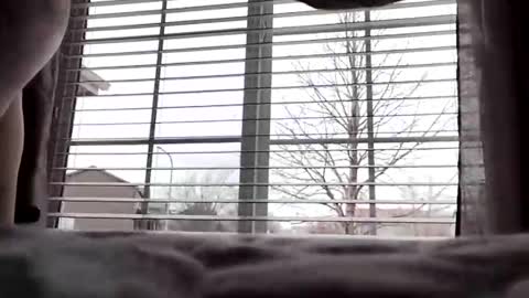 Dickforfun300 online show from February 14, 5:26 pm