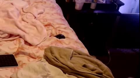 Sparkx online show from March 1, 7:34 am