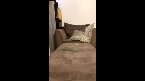 dickparceldick online show from May 7, 10:49 pm