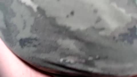 Dick Trashy online show from August 2, 9:33 am