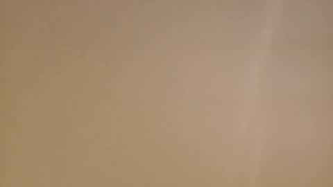 Diego online show from February 16, 11:38 am