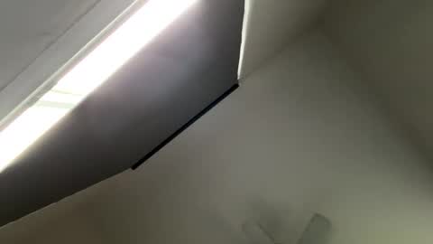 dino202310 online show from October 25, 8:53 pm