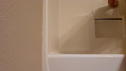 DIPSTIK online show from November 2, 9:59 pm