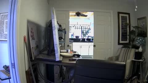 DirtkPitt Fun guy working online show from January 3, 7:39 pm