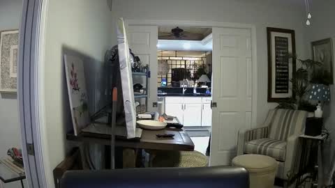 DirtkPitt Fun guy working online show from January 4, 2:35 am