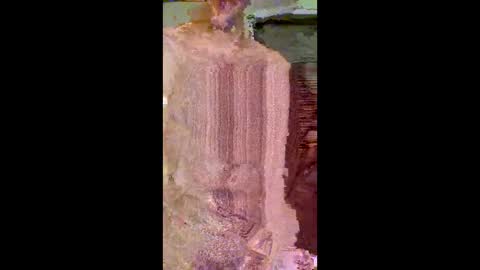 ditboi26 online show from March 14, 3:27 pm