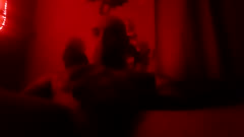 dixienormes online show from January 13, 9:50 am