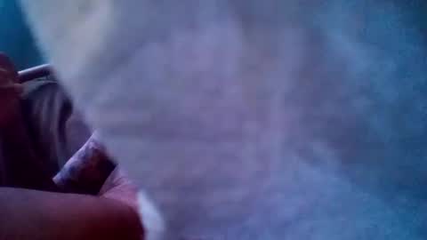 dixienormes online show from December 29, 12:55 pm