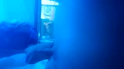 dixonbird41 online show from December 21, 9:27 am