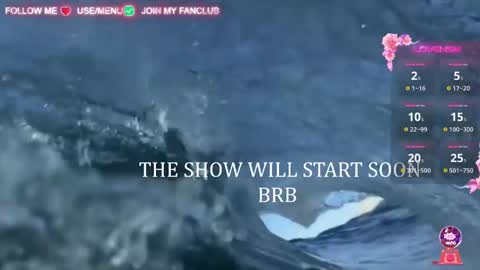 I WILL BE BACK ON WEDNESDAY DECEMBER 4 0100AM COLOMBIA TIME    online show from March 6, 9:58 am