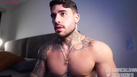 Dominic Sullivan online show from January 14, 3:03 am