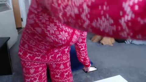   dominique  online show from January 16, 2:19 pm