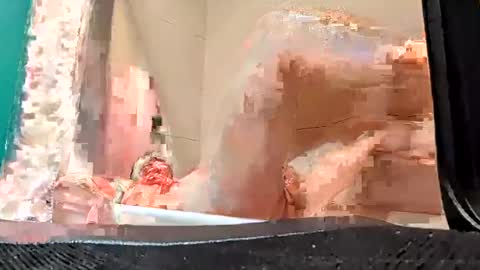 Dorian w Costars online show from October 4, 3:32 pm