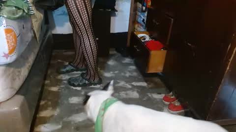 dreamreal online show from February 8, 12:08 pm